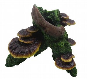 דקורציה לאקווריום גזע עם קונכיות 17x13x15 ס"מ דקורציה לאקווריום גזע עם קונכיות 17x13x15 ס"מ