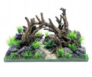 דקורציה לאקווריום גזע עם קונכיות 17x13x15 ס"מ דקורציה לאקווריום גזע עם קונכיות 17x13x15 ס"מ