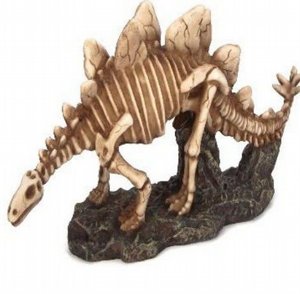 דקורציה לאוווריום שלד דינוזאור 33x11x16 ס"מ דקורציה לאוווריום שלד דינוזאור 33x11x16 ס"מ