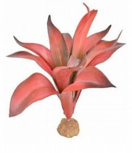 דקורציה לאקווריום צמח ורוד ברומליה 31x26x20 ס"מ דקורציה לאקווריום צמח ורוד ברומליה 31x26x20 ס"מ