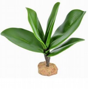 דקורציה לאקווריום צמח אגבה 18x23x17 ס"מ דקורציה לאקווריום צמח אגבה 18x23x17 ס"מ